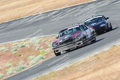 media/May-06-2023-Lucky Dog Racing (Sat) [[8f2256f436]]/Turn 2 10a/